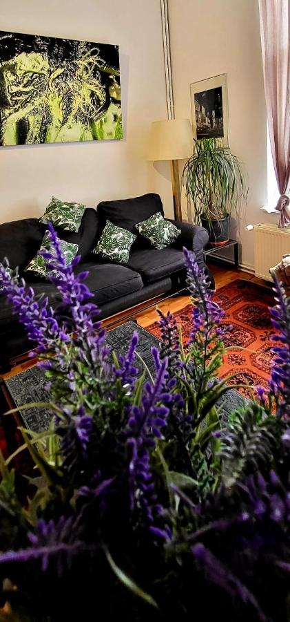 Bright Close To Zaventem Airport * Bruselas